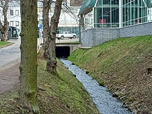 Zimní stadion Kotlina v Havlíčkově Brodě má jednu zvláštnost. Pod stadionem vede koryto potoka.