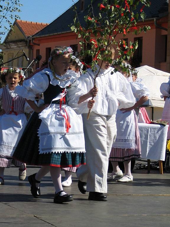 Folklor, dobré víno, cimbálová a dechová muzika a nejrůznější atrakce. Tak to vypadá o tomto víkendu 13. a 14. září ve Velké Bíteši.