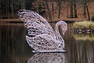 Během vánoční procházky parkem spatříte osvětlené labutě