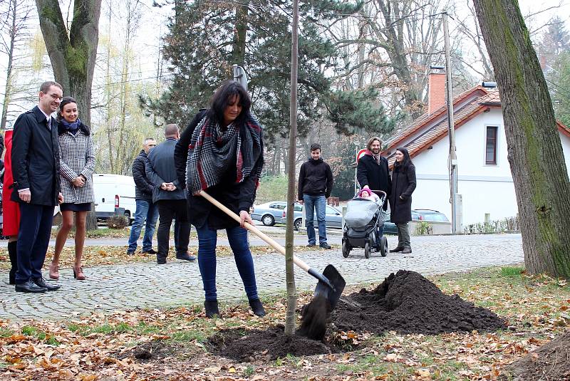 Zástupci havlíčkobrodského gymnázia, gymnázia ze slovenské Spišské Nové Vsi a města Havlíčkův Brod vysadili strom republiky.