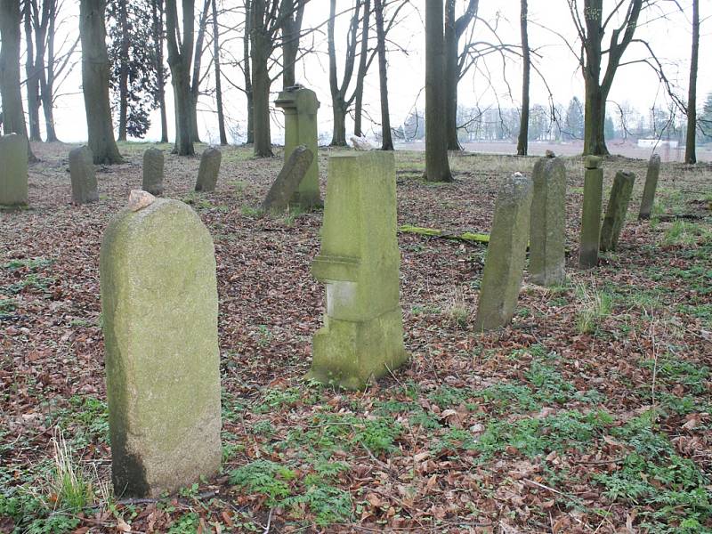 Na hřbitově se dochovalo asi osmdesát náhrobků, pohřbeno tam je asi čtyři sta lidí židovské víry z Haliče, kteří v letech 1916 až 1918 podlehli v tehdejším Německém Brodě tyfu. 