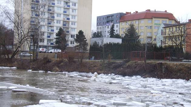 Kusy ledu se objevily v těchto dnech také na Sázavě přímo v Havlíčkově Brodě. Proud řeky ale nezastavily. 