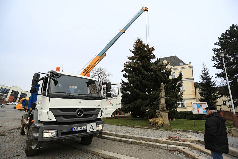 Vánoční strom ve Světlé nad Sázavou.