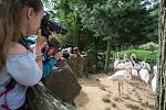 Skupina fotografie z Letní žurnalistické školy fotila v ZOO Jihlava.