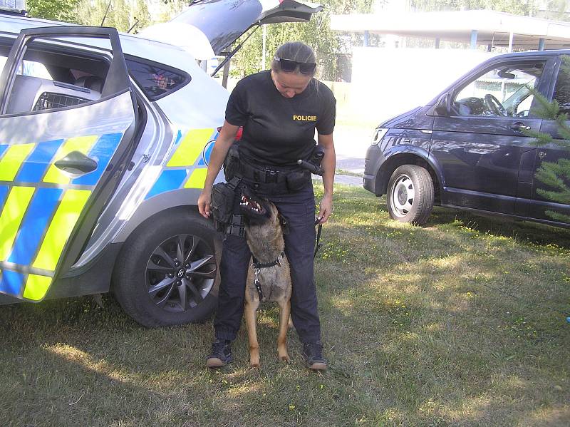 Do služby na festivalu jsou zařazeni policisté pořádkové, dopravní, cizinecké i kriminální policie Krajského ředitelství policie Kraje Vysočina včetně kynologů.