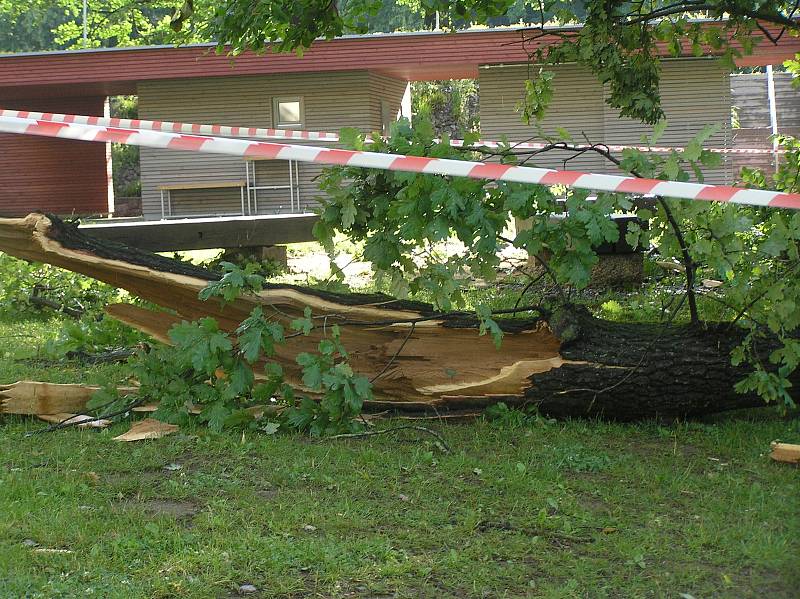 Čtvrteční noční vichřice napáchala škody například v havlíčkobrodkém parku Budoucnost. Silné větve urostlých lip lámala jako sirky. Kus stromu spadl například do areálu dětského hřiště za budovou AZ Centra na Rubešově náměstí. 