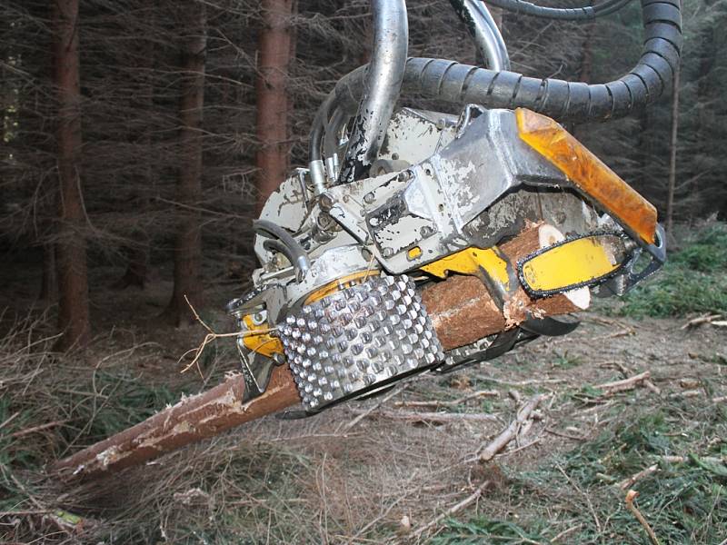 Multifunkční hlavice harvestoru. Těžkou práci, kterou při těžbě odvádí lesní dělníci, zvládne hlavice harvestoru mnohokrát rychleji. Strom pokácí, odvětví a nařeže na požadovanou délku.