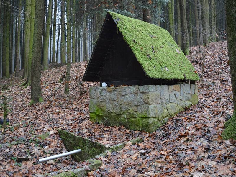 Studánka u hlavňovské hájenky nedaleko Josefodolu. 