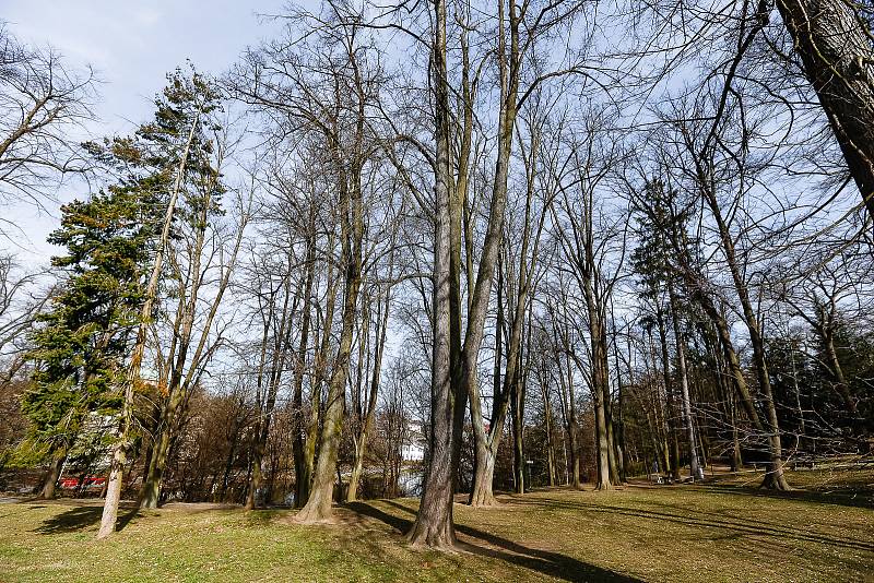 Park Budoucnost v Havlíčkově Brodě.