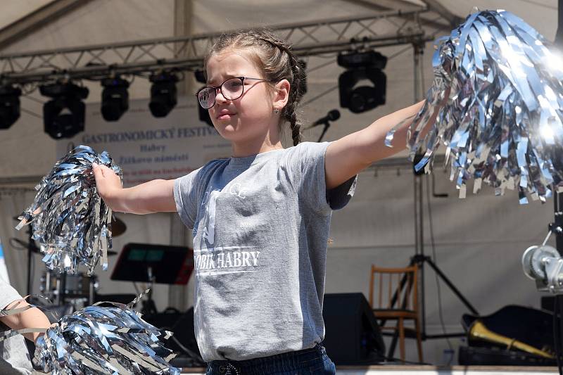 Gastronomický festival v Habrech