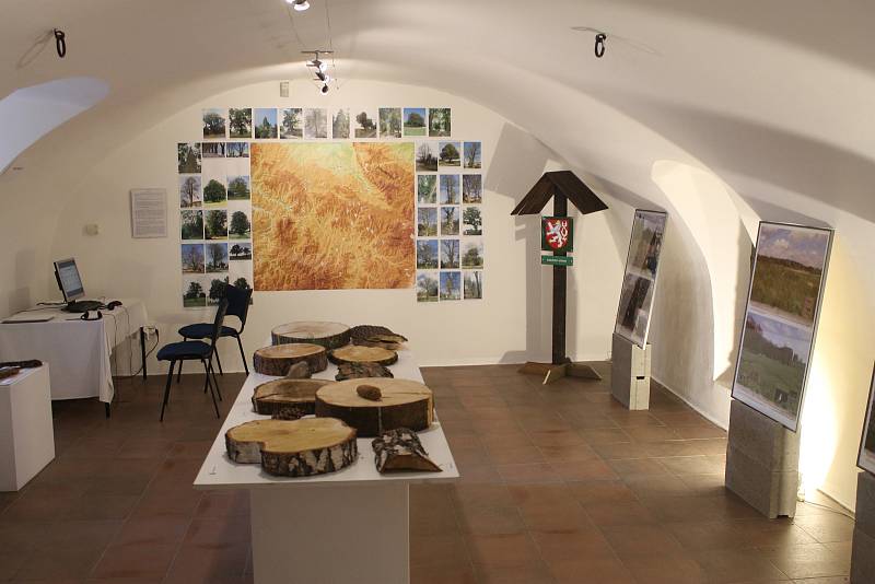 V brodském Muzeu Vysočiny probíhá výstava o přírodě.