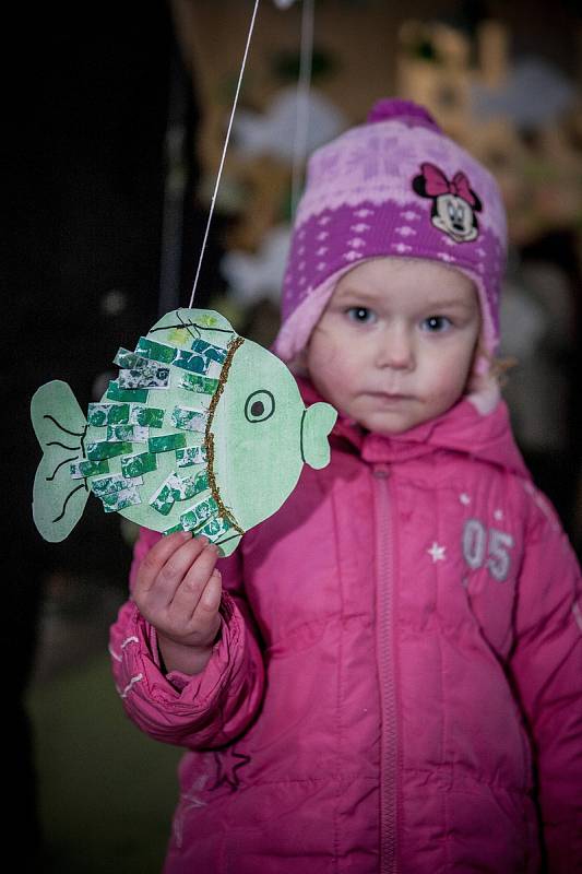 Ryby, kam se podíváš – to je základní motiv letošní vánoční výstavy, kterou přichystalo společně se širokou veřejností Městské muzeum Chotěboř.