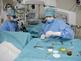 Implantace multifokálních čoček je „specialitou“ očního oddělení havlíčkobrodské nemocnice. Velkému zájmu se ale těší také plastické operace. 