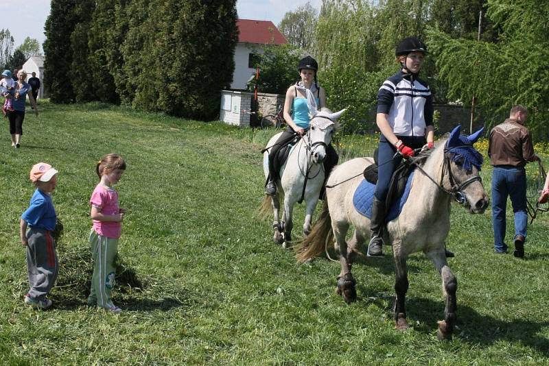 Na jezdce v Číhošti rozhodně nečekaly jen lehké úkoly. Takový hod oštěpem přesně na terč se pro mnohé ukázal jako neřešitelná úloha. O výsledky tu ale šlo až na druhé místě. „Chtěli jsme se hlavně pobavit,“ řekla organizátorka Jitka Kovářová. 