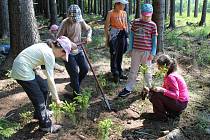 Děti v akci. Školáci si mohli sami vyzkoušet například i výsadbu sazenic jehličnatých stromů.