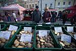 Farmářské trhy a bramborářský den na Havlíčkově náměstí v Havlíčkově Brodě.