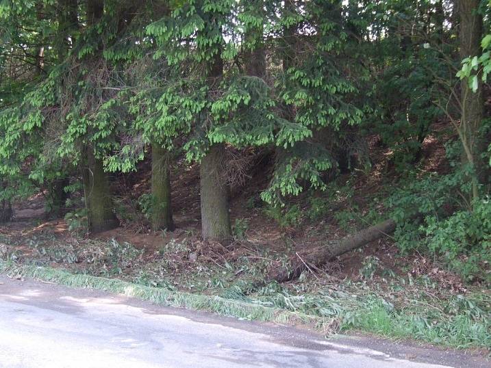 Spousta bláta. V Dolní Krupé i Břevnici sahalo bláto až do výšky několika desítek centimetrů. Místní měli hned brzo ráno co dělat.