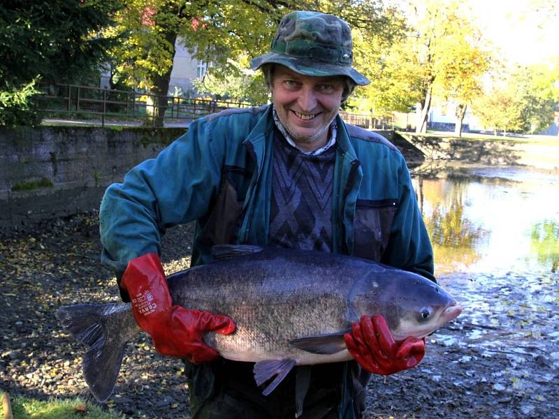 Známou pohádku o třech přáních pro zlatou rybku si po výlovu obecního rybníka v Modlíkově přeříkal Josef Sobotka. Do vody potom vrátil jediného tolstolobika. 