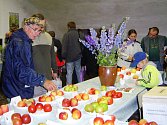 Součástí výstavy v Přibyslavi je soutěž o nejhezčí jablko.