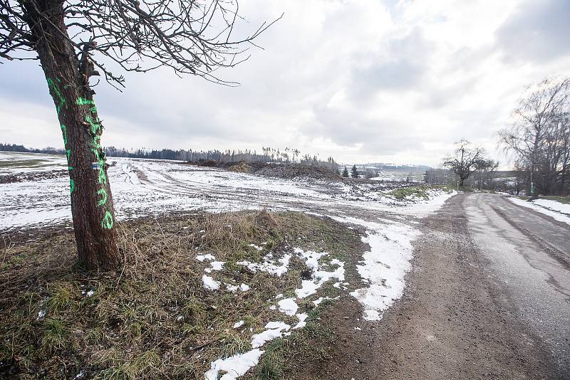 Hanlivé nápisy na stromech u Šlapanova na Havlíčkobrodsku.