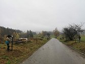 Výsadba stromů mezi Keřkovem a Hesovem.