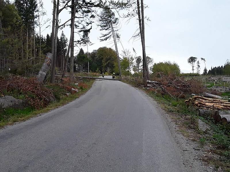 Hasiči na Vysočině zasahují u popadaných stromů.