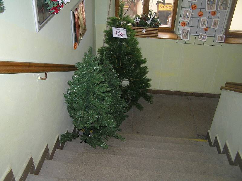 Prodej vánočních stromků