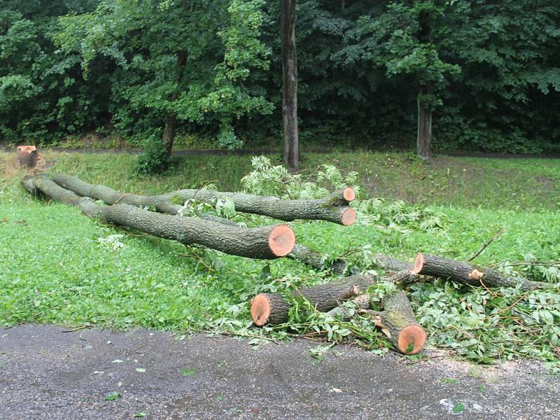 Strom, který ve čtvrtek pracovníci technických služeb preventivně pokáceli, byl označen jako rizikový a určený ke skácení už před několika dny. Středeční událost jen jeho pokácení urychlila.