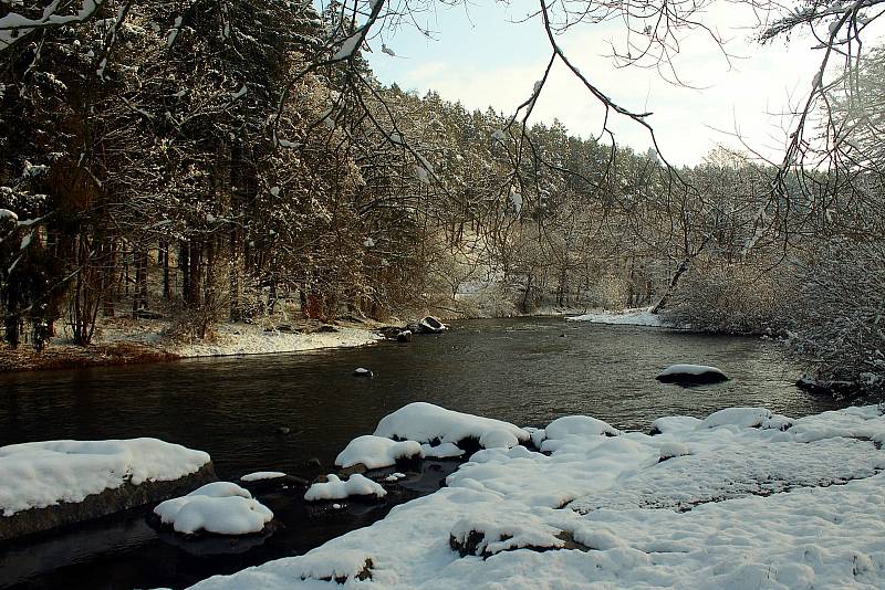 Zimní procházka na Stvořidlech u Ledče nad Sázavou. Foto: Jan Šafránek