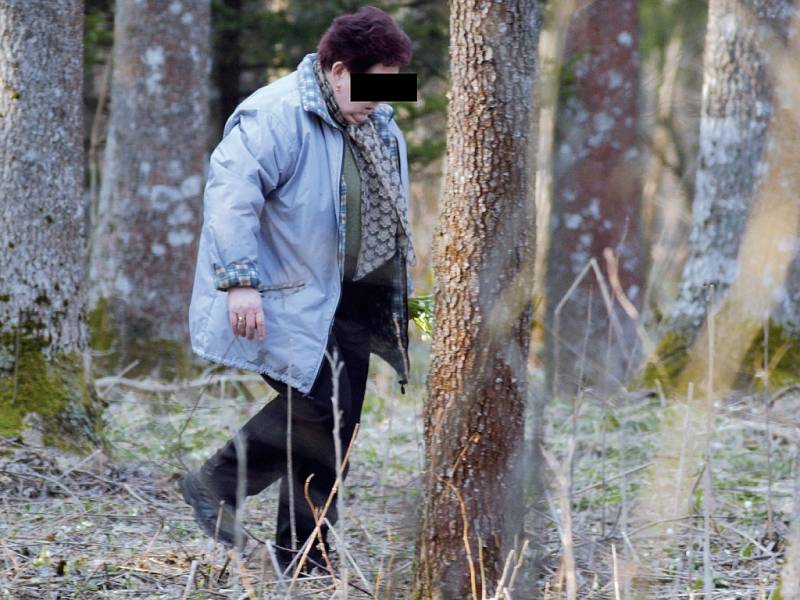 V Národní přírodní rezervaci Ransko nachytali žďárští ochranáři několik výletníků, kteří si z lokality odnášeli zákonem chráněné bledule. Žena na snímku je jednou z těch, které stráž fotoaparátem zachytila při činu.