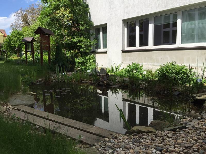 Přírodní zahradu vybudovali studenti gymnázia v rámci mezinárodního projektu Ekoškola.