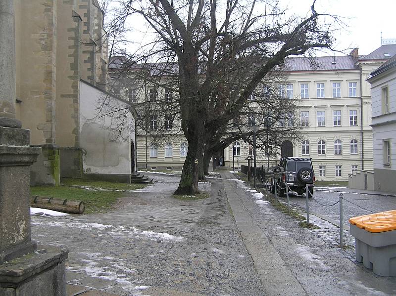 Tato část parku na svoji proměnu letos teprve čeká.