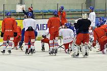 Česká hokejová reprezentace se sešla v úterý v Praze k dalším přípravnému cyklu. Během něj se dvakrát střetne v Jihlavě s výběrem Slovenska.