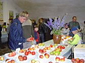 O víkendu 19. a 20. října se bude konat tradiční Výstava ovoce, zeleniny, medu a brambor, kterou pořádá město Přibyslav a místní spolky.