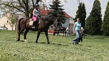 Na jezdce v Číhošti rozhodně nečekaly jen lehké úkoly. Takový hod oštěpem přesně na terč se pro mnohé ukázal jako neřešitelná úloha. O výsledky tu ale šlo až na druhé místě. „Chtěli jsme se hlavně pobavit,“ řekla organizátorka Jitka Kovářová. 