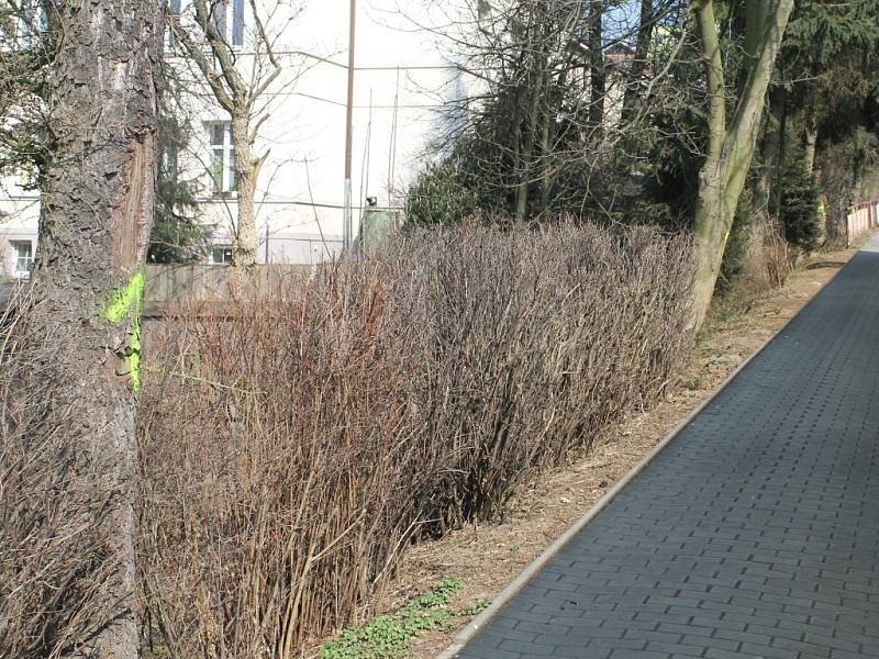 Místo, o kterém lidé ze Šubrtovy ulice polemizují s brodskou radnicí.