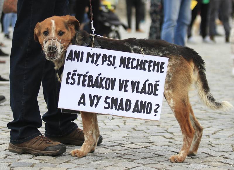 Protestní akce Milionu chvilek v Havlíčkově Brodě.