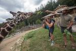 Skupina fotografie z Letní žurnalistické školy fotila v ZOO Jihlava.