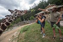 Skupina fotografie z Letní žurnalistické školy fotila v ZOO Jihlava.