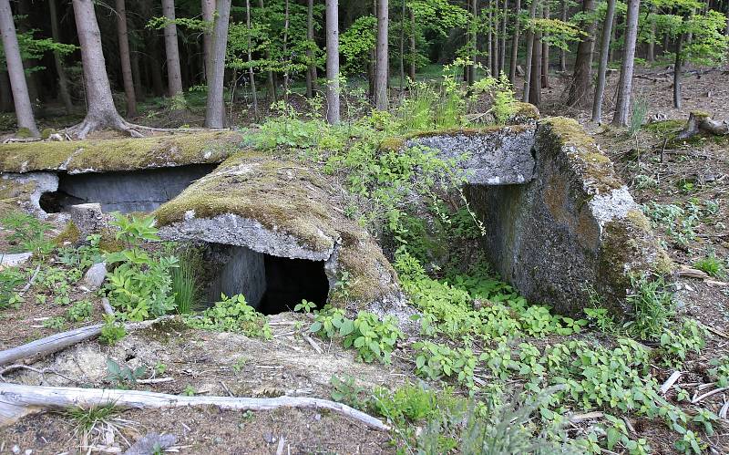 Prvorepublikové bunkry u Sobíňova na Havlíčkobrodsku.