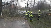 Hasiči vyjížděli v pátek 31. března k popadaným stromům po bouřce a silném větru. Foto: poskytl HZS Kraje Vysočina