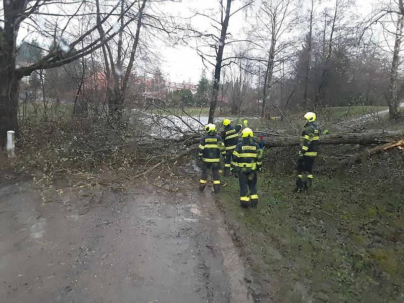 Hasiči vyjížděli v pátek 31. března k popadaným stromům po bouřce a silném větru. Foto: poskytl HZS Kraje Vysočina