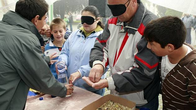 Všichni si mohli vyzkoušet, jaké to je přebírat hrách, nalívat si vodu do hrnku nebo věšet prádlo s páskou na očích. Jednoduché podle občanů není ani řídit invalidní vozík. 