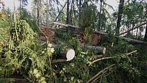 Středeční bouře, která se prohnala Vysočinou, způsobila škody hlavně na Přibyslavsku a v okolí Šlapanova. Minimálně desítku výjezdů museli do těchto oblastí absolvovat hasiči.