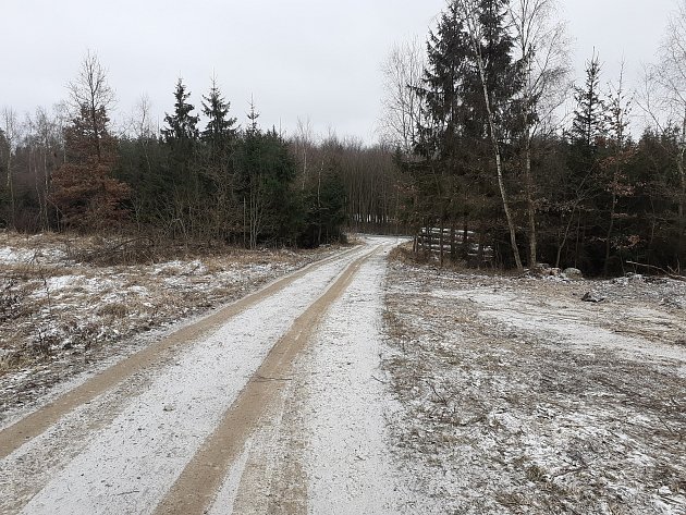 Tělo zavražděné ženy na Vysočině leželo v lese u ropovodu