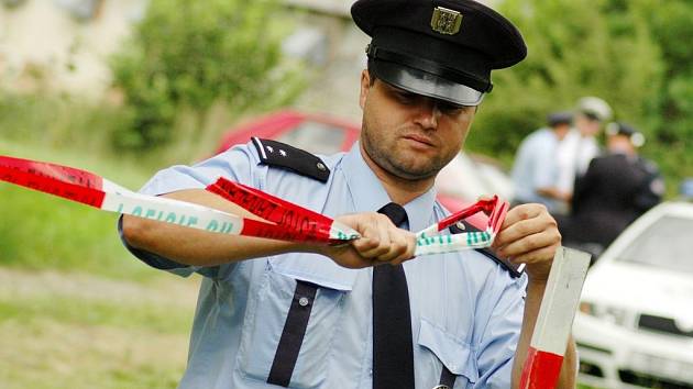 Policistů je málo. Podle hejtmana Miloše Vystrčila je příčinou zvyšující se kriminality kromě jiného i nedostatek policistů. Těch je na 10 tisíc obyvatel nejméně v zemi.