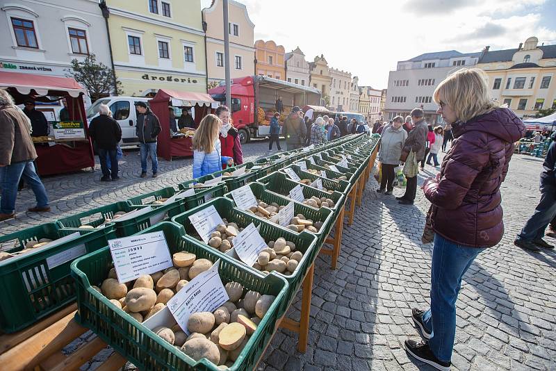 Farmářské trhy a bramborářský den na Havlíčkově náměstí v Havlíčkově Brodě.