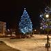 Vánoční strom ve Ždírci nad Doubravou.