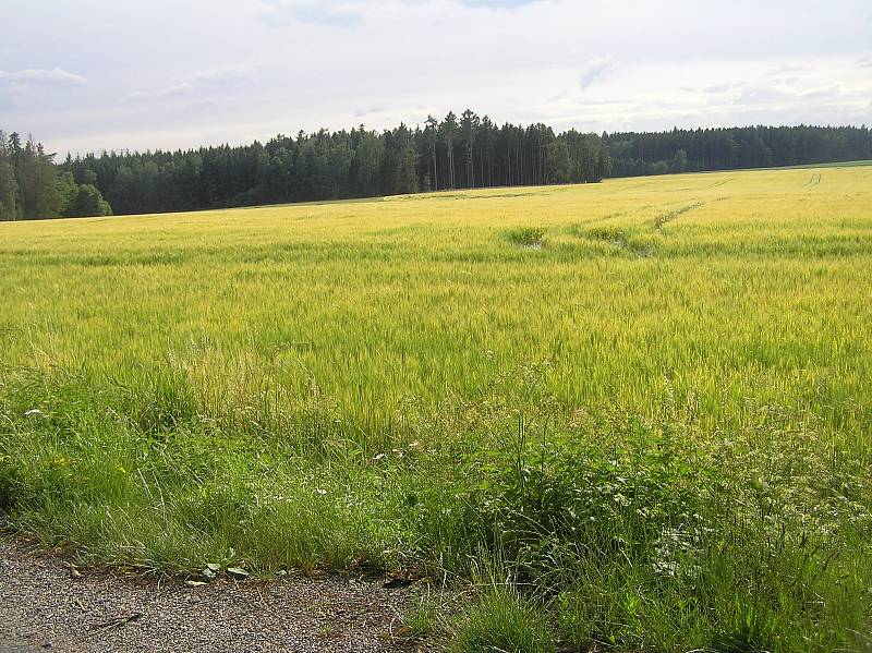 Obec Žižkovo Pole