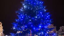 Vánoční strom na Havlíčkově náměstí v Havlíčkově Brodě.